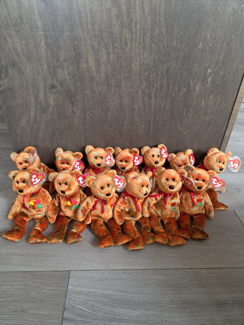 2002 Ty Beanie Baby Canada Exclusive Kanata The Bear Complete Set Of 13